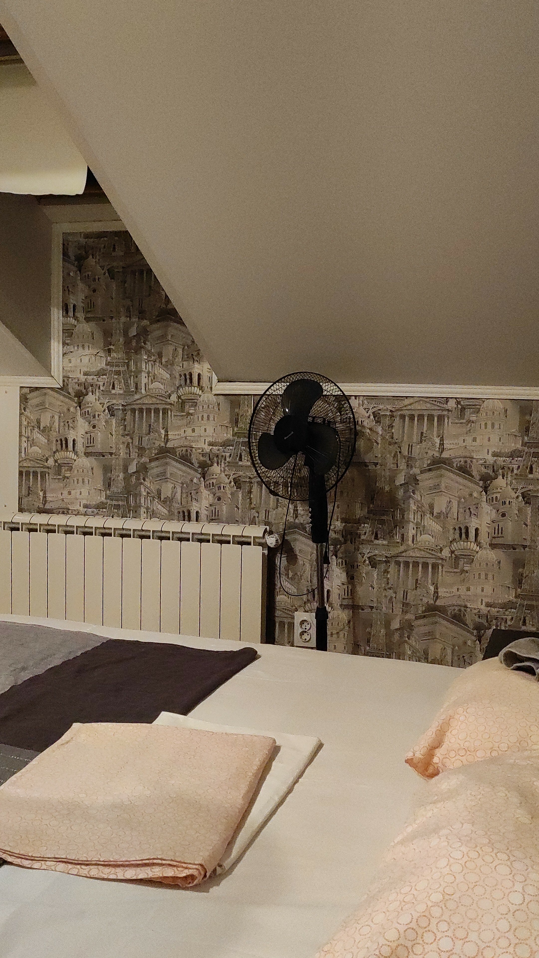 Фото Сарацин