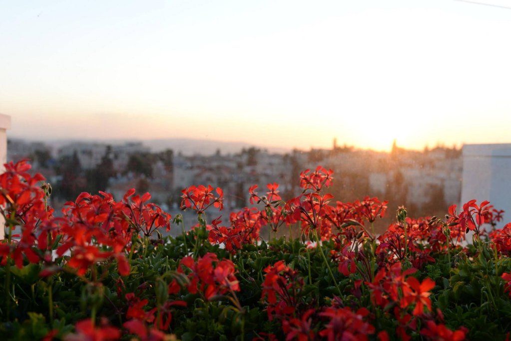 Фото Prima Royale Hotel