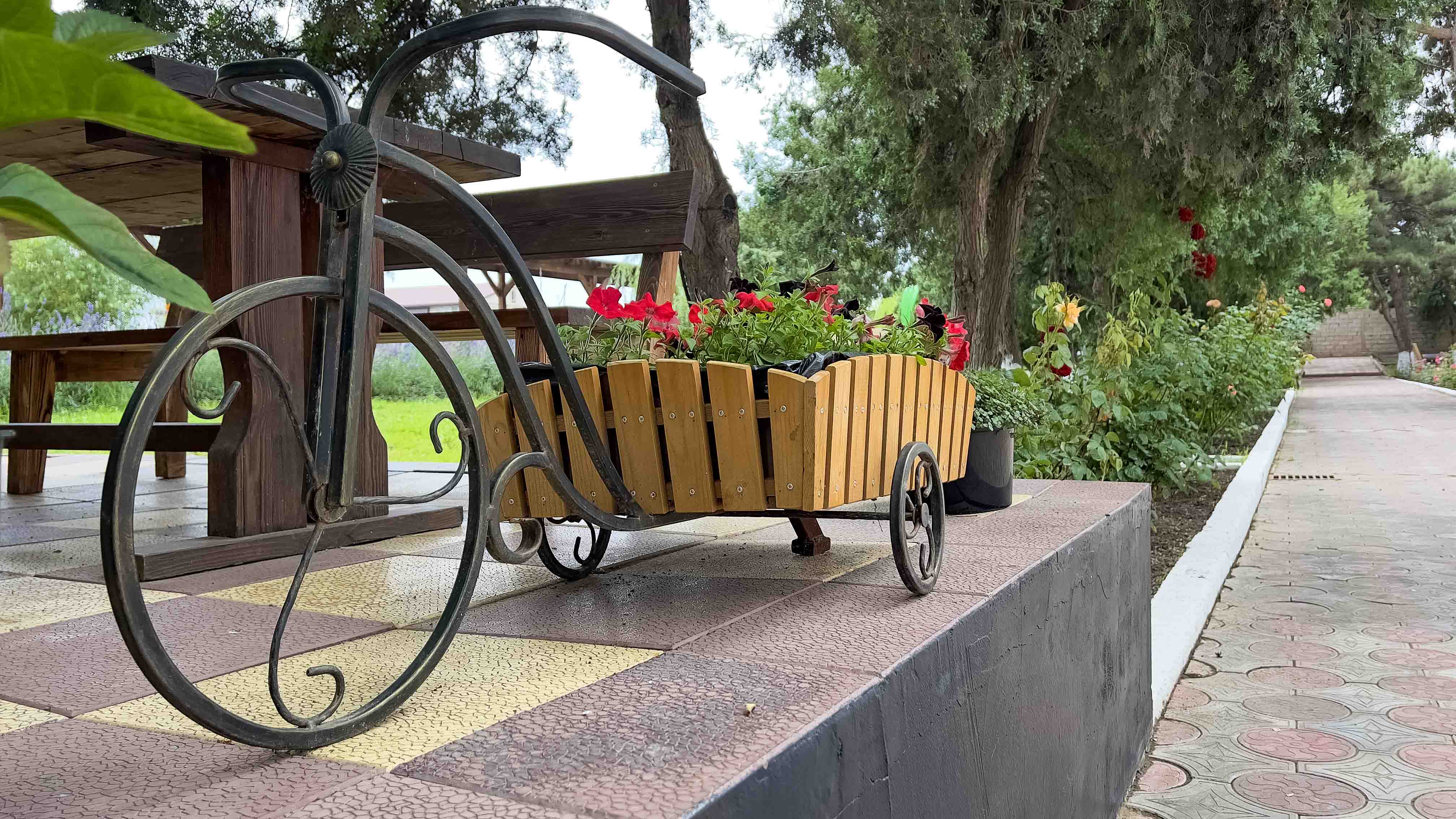 Фото Электра Холидей