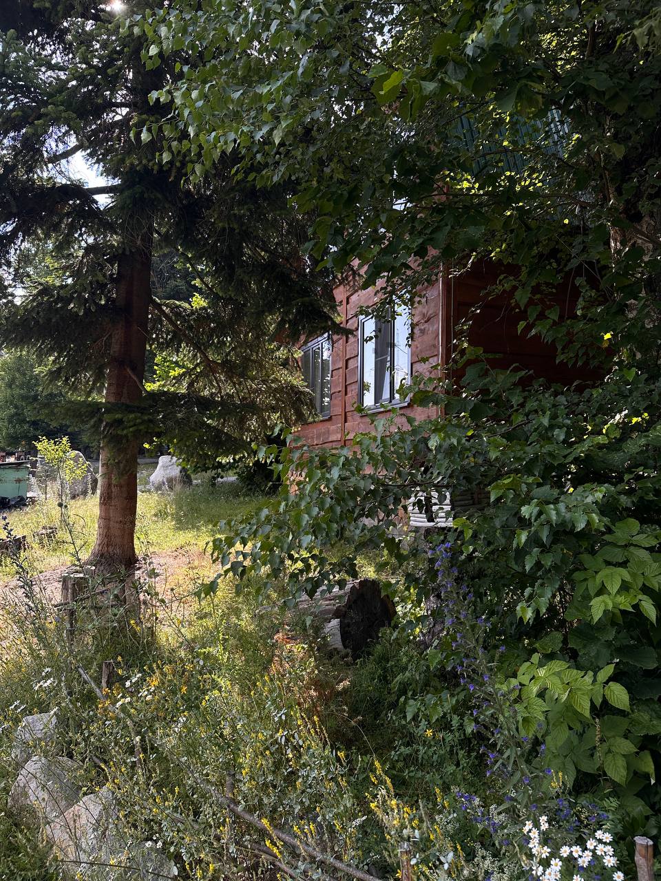 Фото Атмосфера Архыз