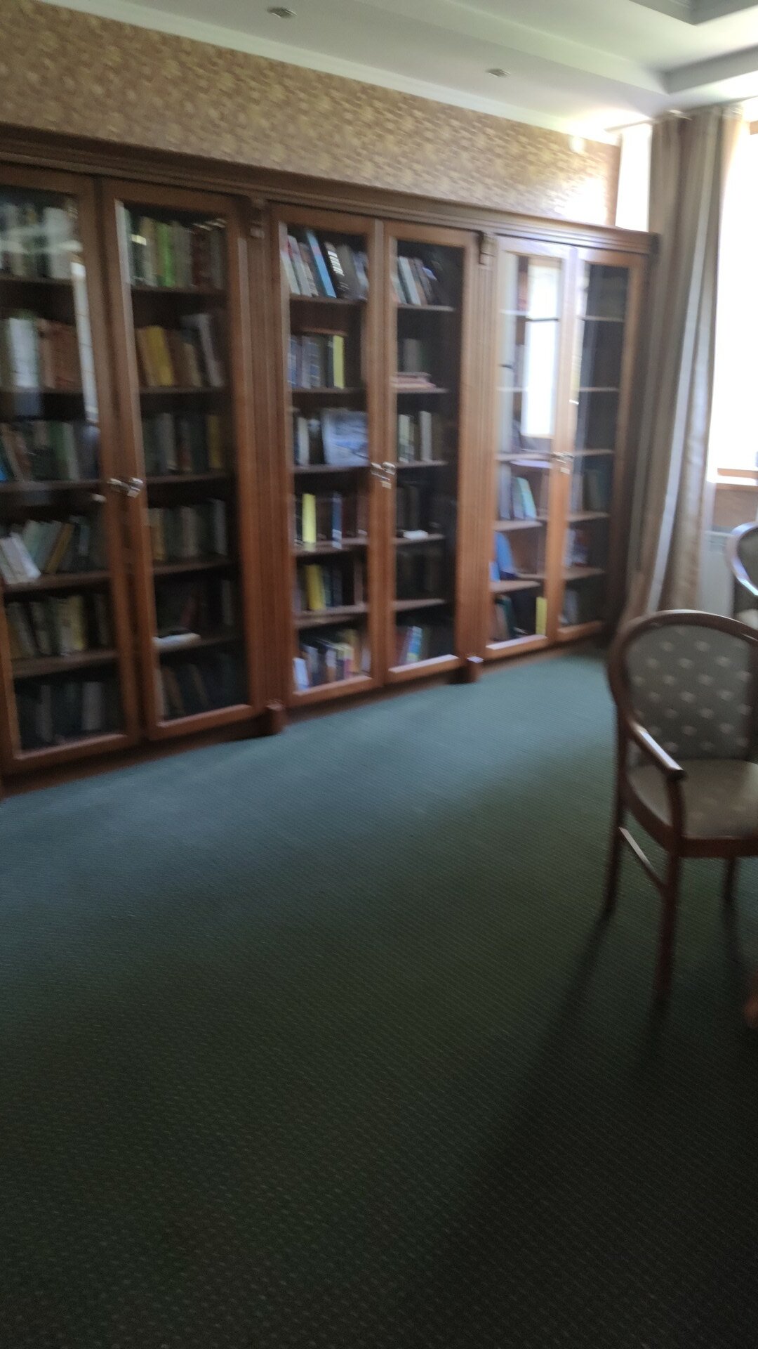 Фото Березки