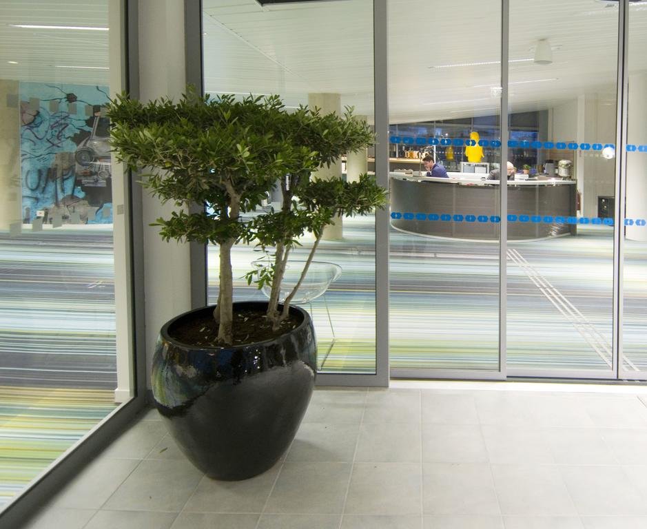 Фото Lodge In MIS