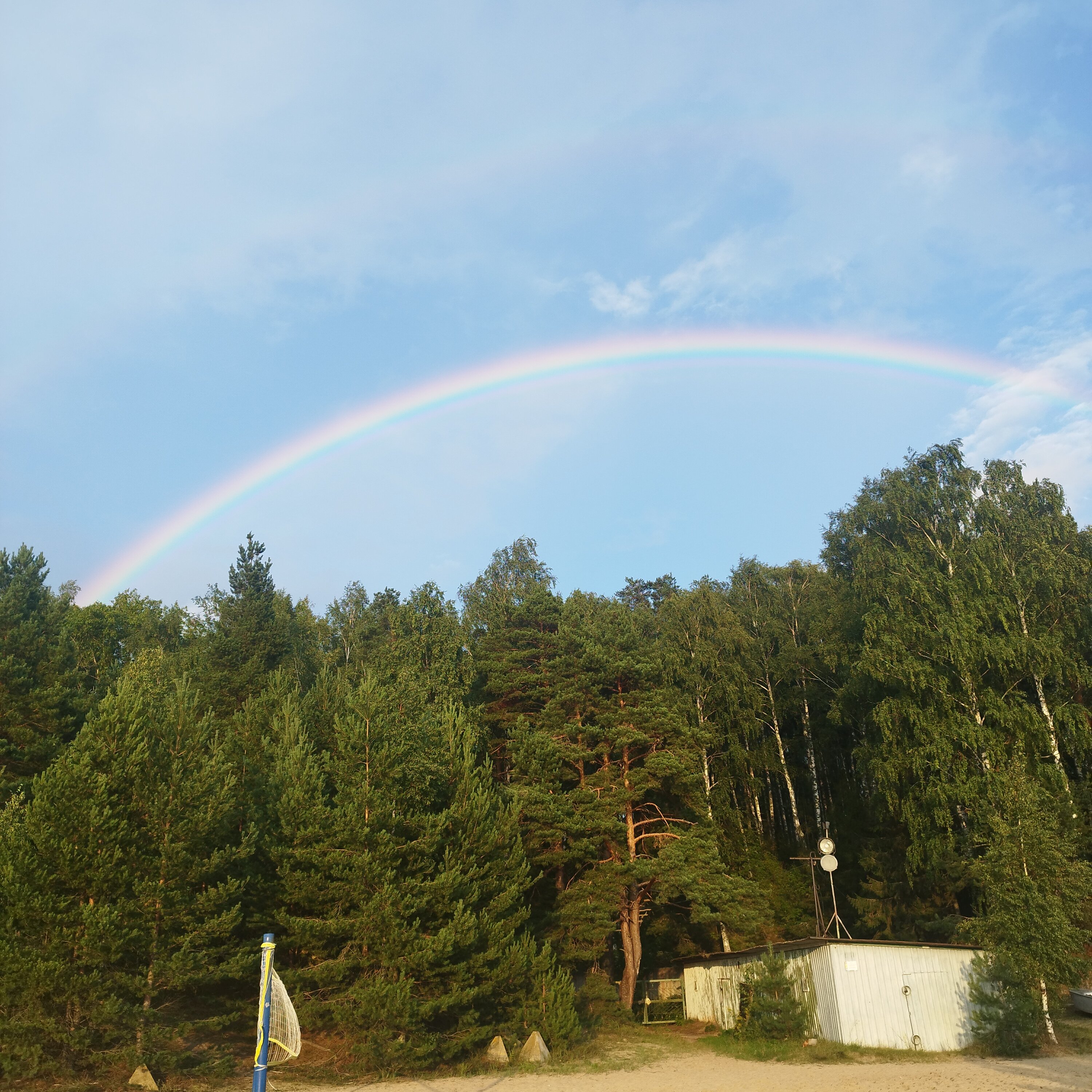Фото Буревестник