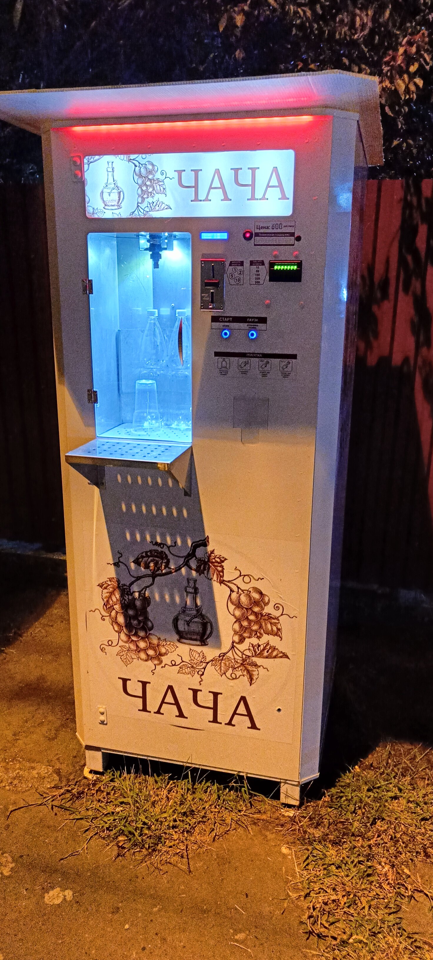 Фото Стефания