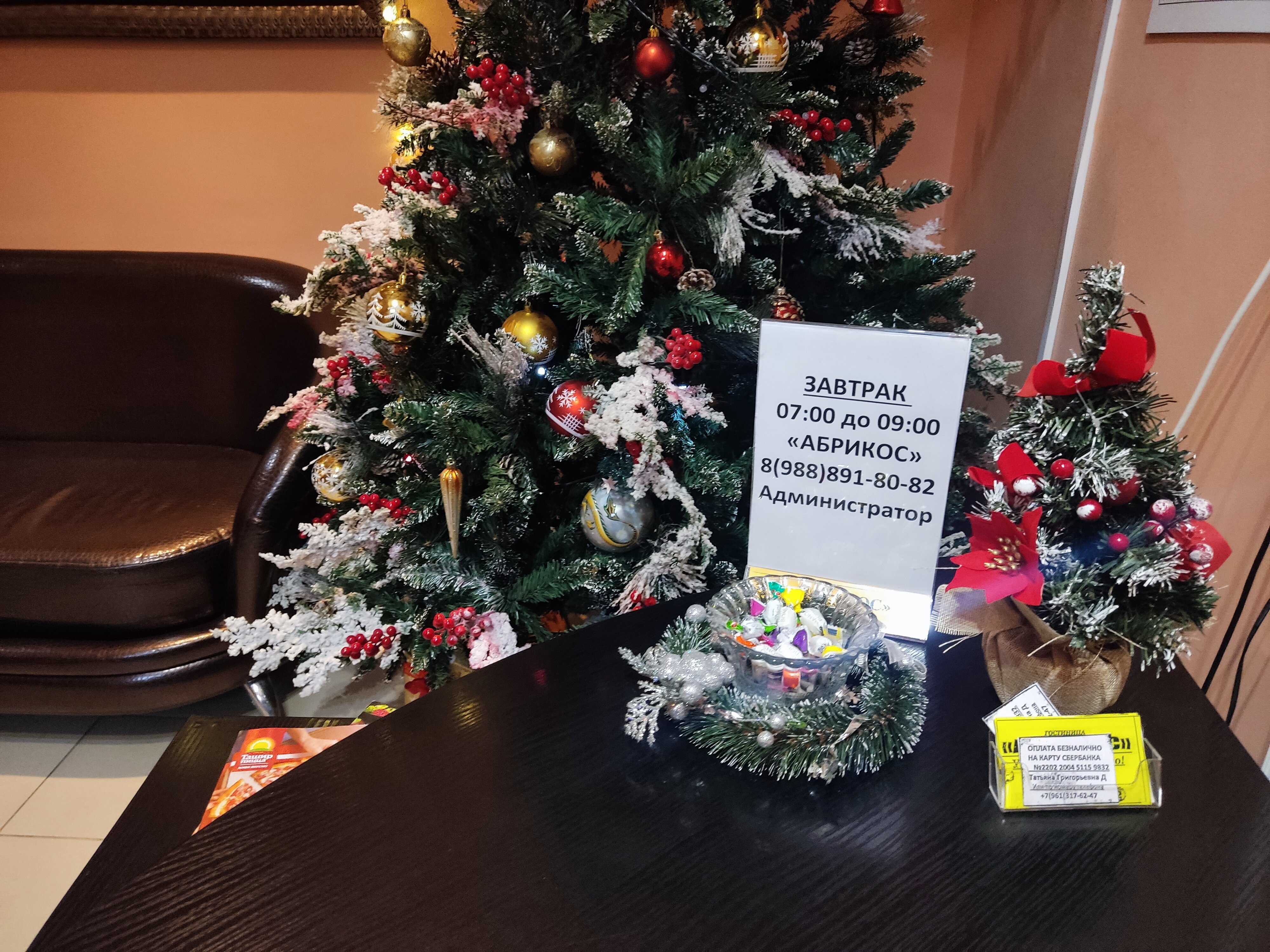 Фото Абрикос