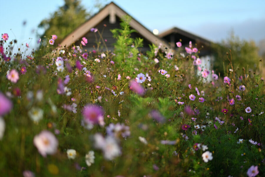 Фото Изба де Шарм