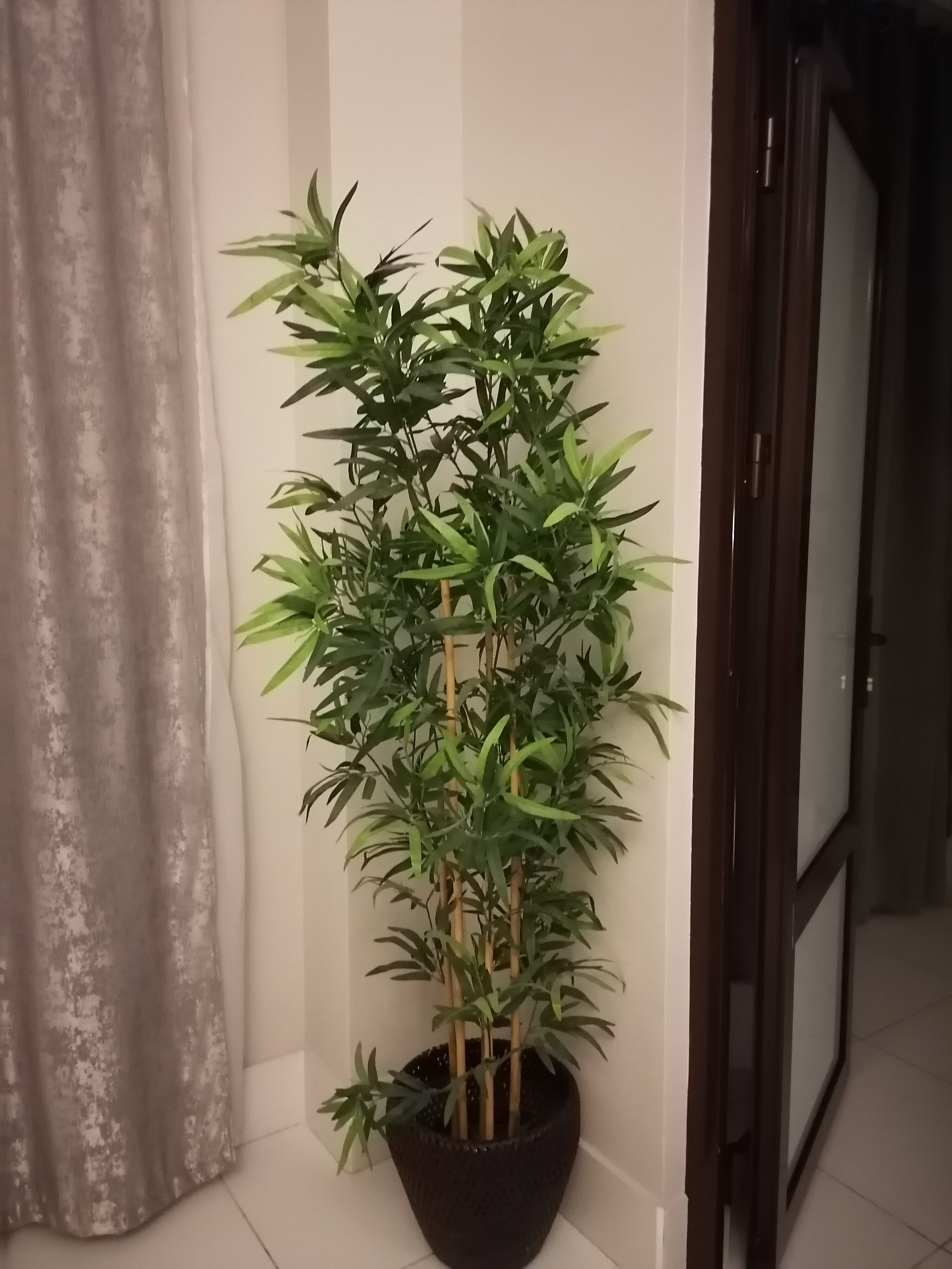 Фото Марисоль