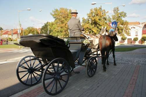 Гостиница Wellness penzion U Grygarů в Оломоуцком крае