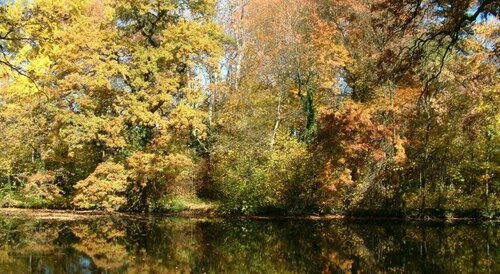 Гостиница Ensana Thermal Sárvár в Ваше