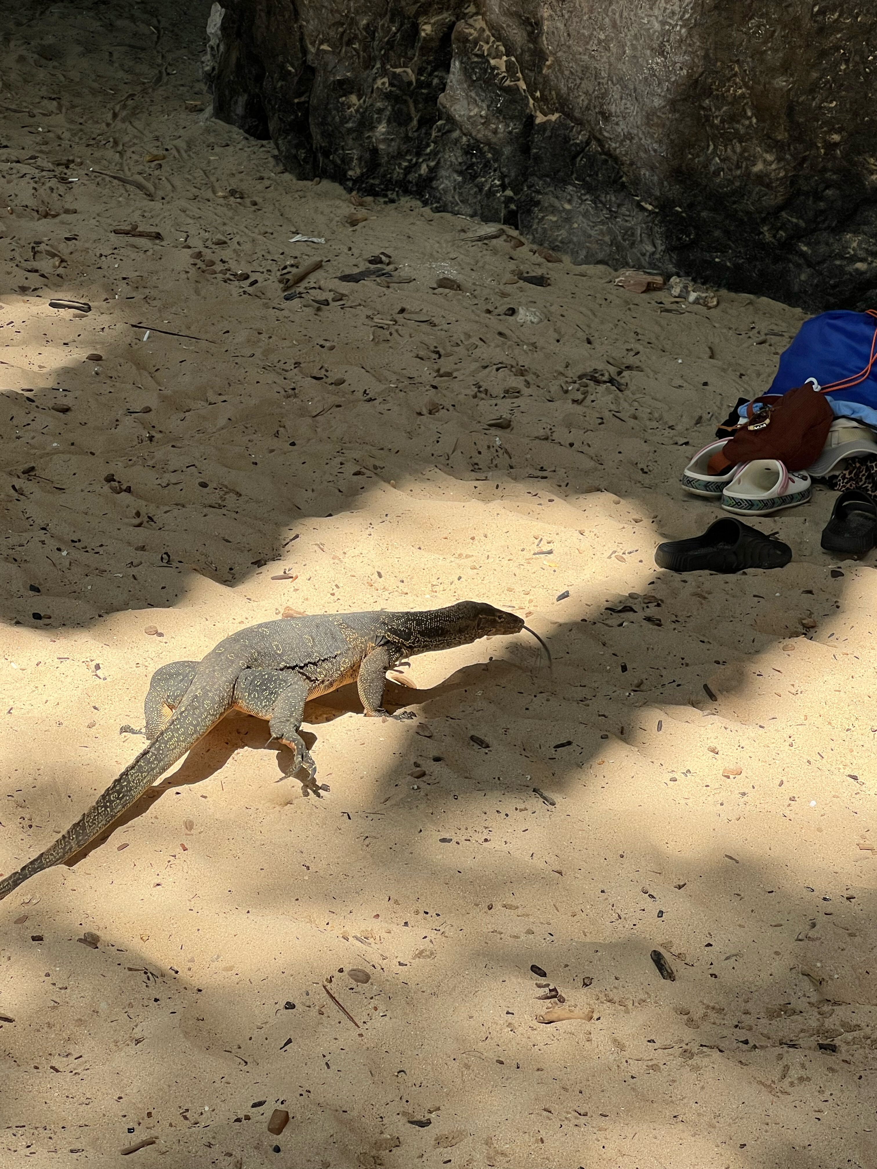 Фото Railay Village Resort