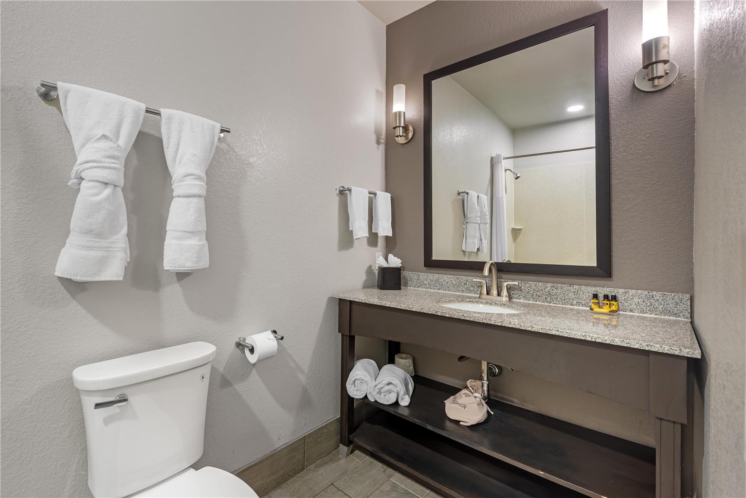 Фото Best Western Plus Austin Airport Inn & Suites