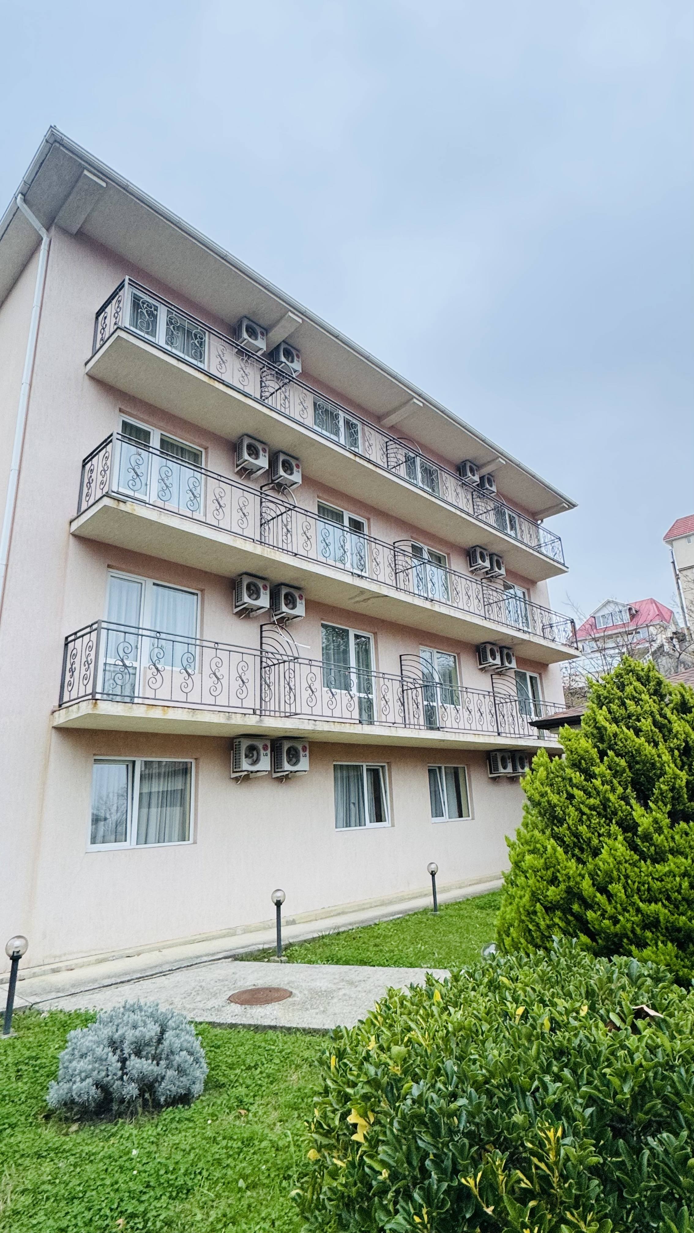 Фото София на Медовой