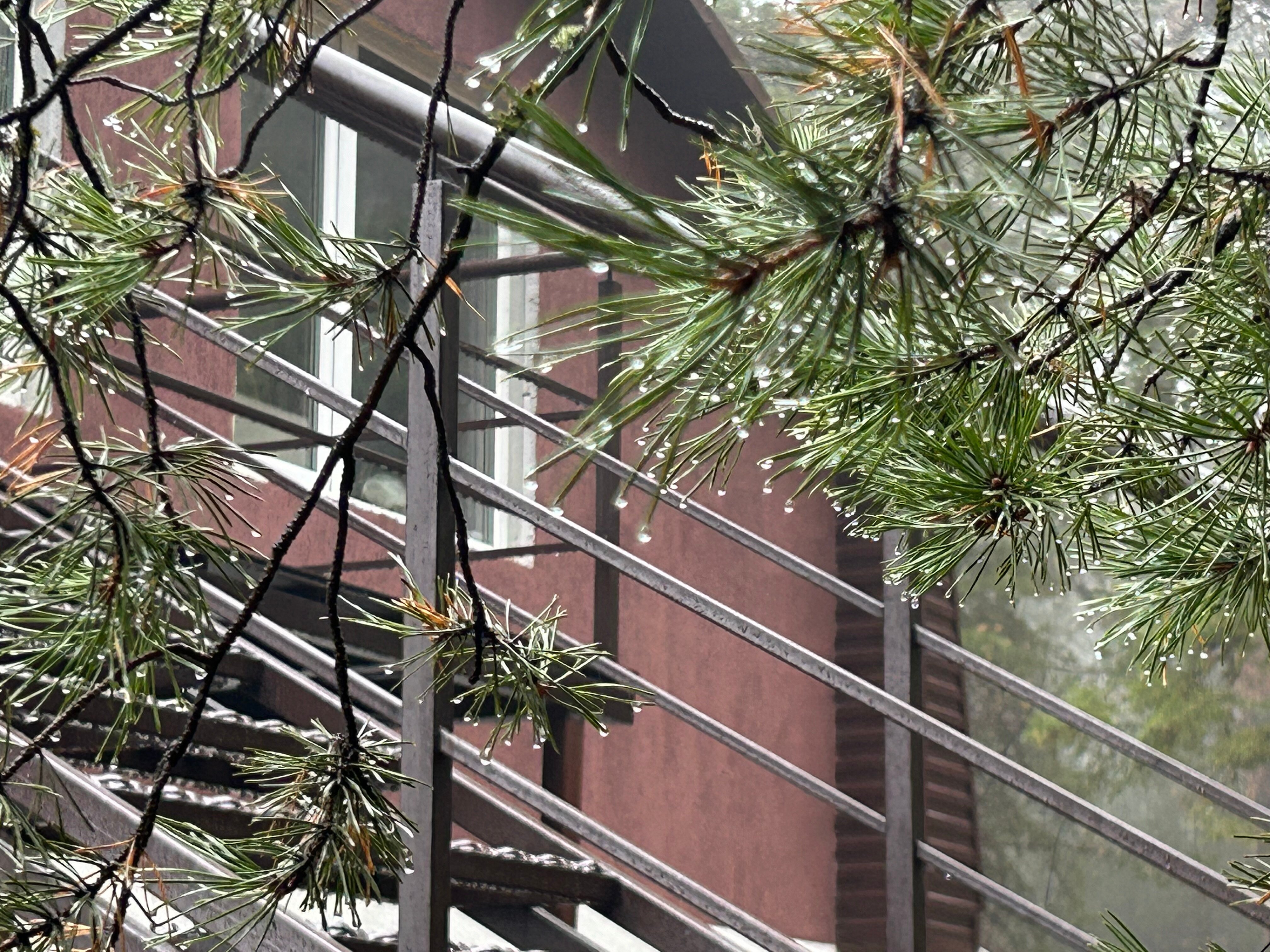 ЯраТау - 16