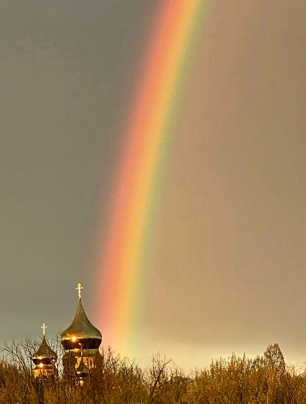 Соловьиная роща — фото 40
