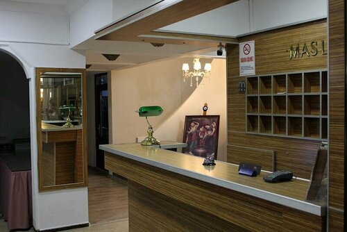 Гостиница Maslina Otel в Эдремите