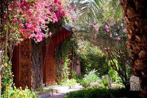 Dar Ayniwen Garden Hotel & Bird Zoo