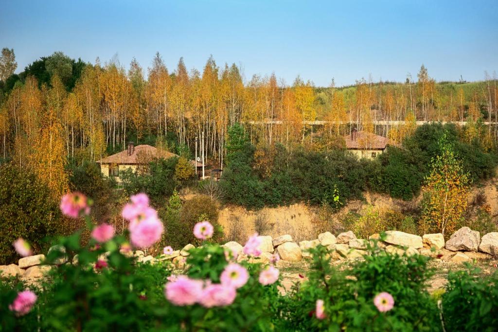 Фото Цитадель