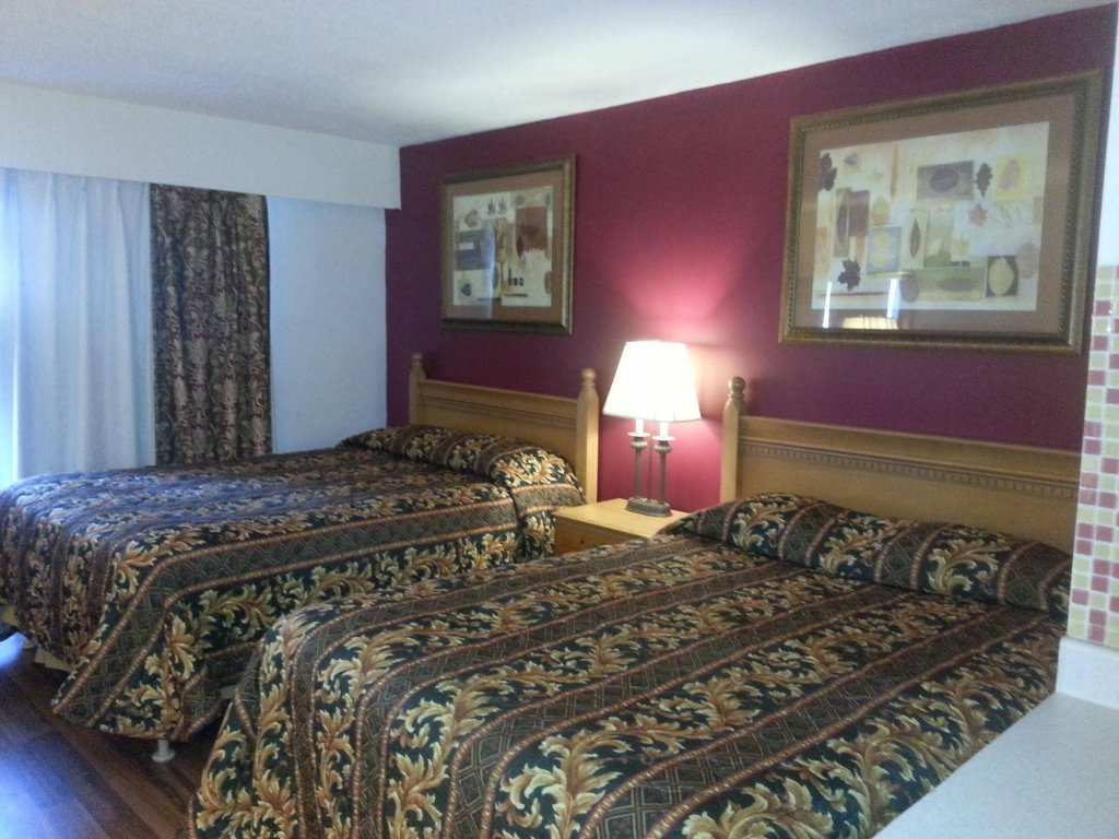 Фото The New 401 Inn