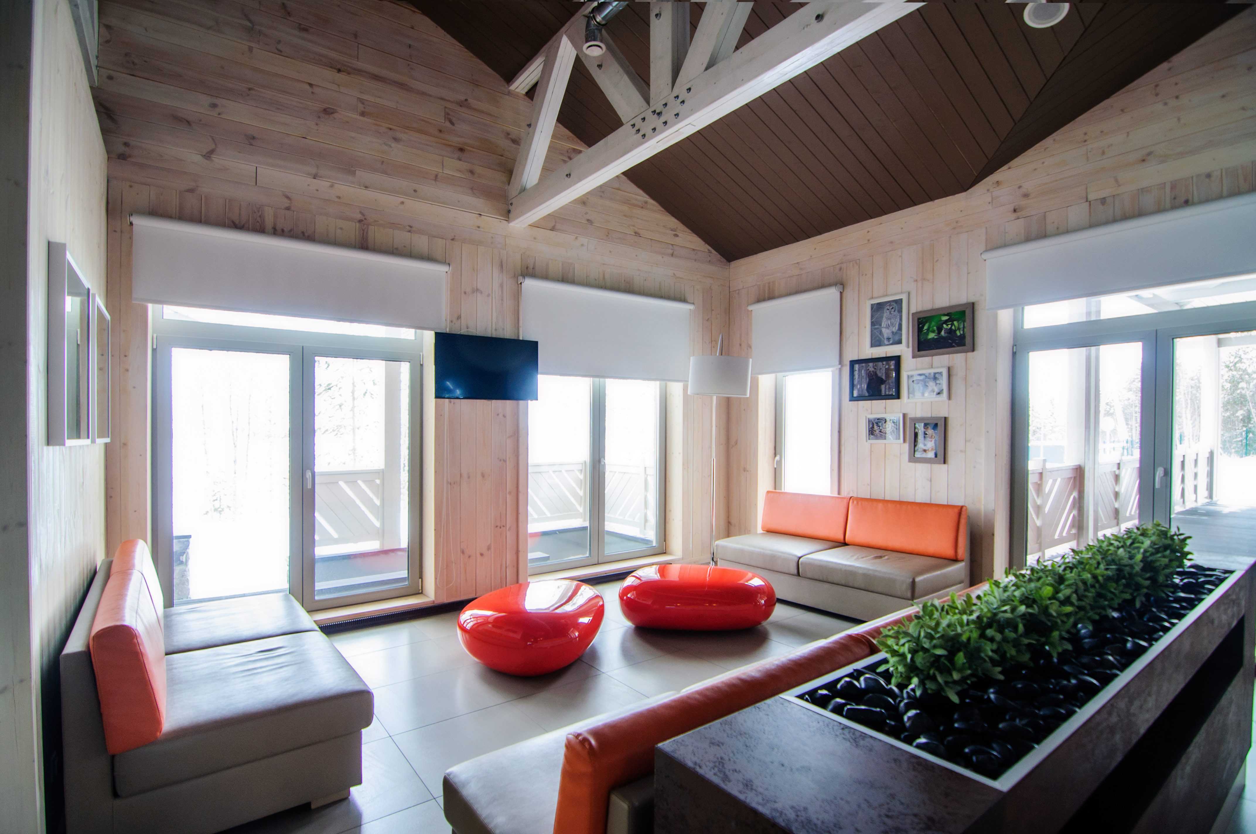 Фото Лесная