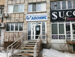 Adonis (Pushkina Street, 13), dental clinic