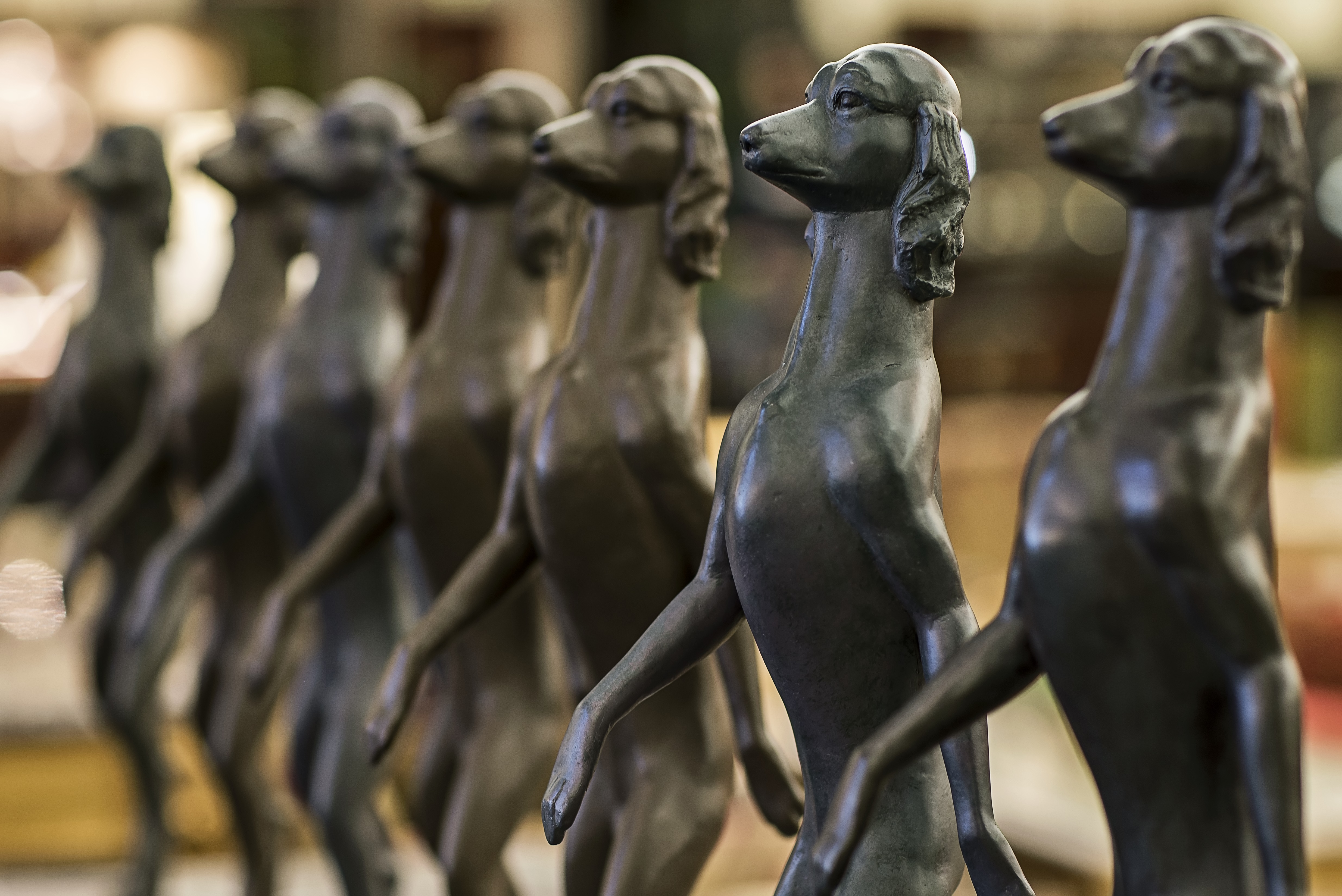 Фото The Carlton Moscow