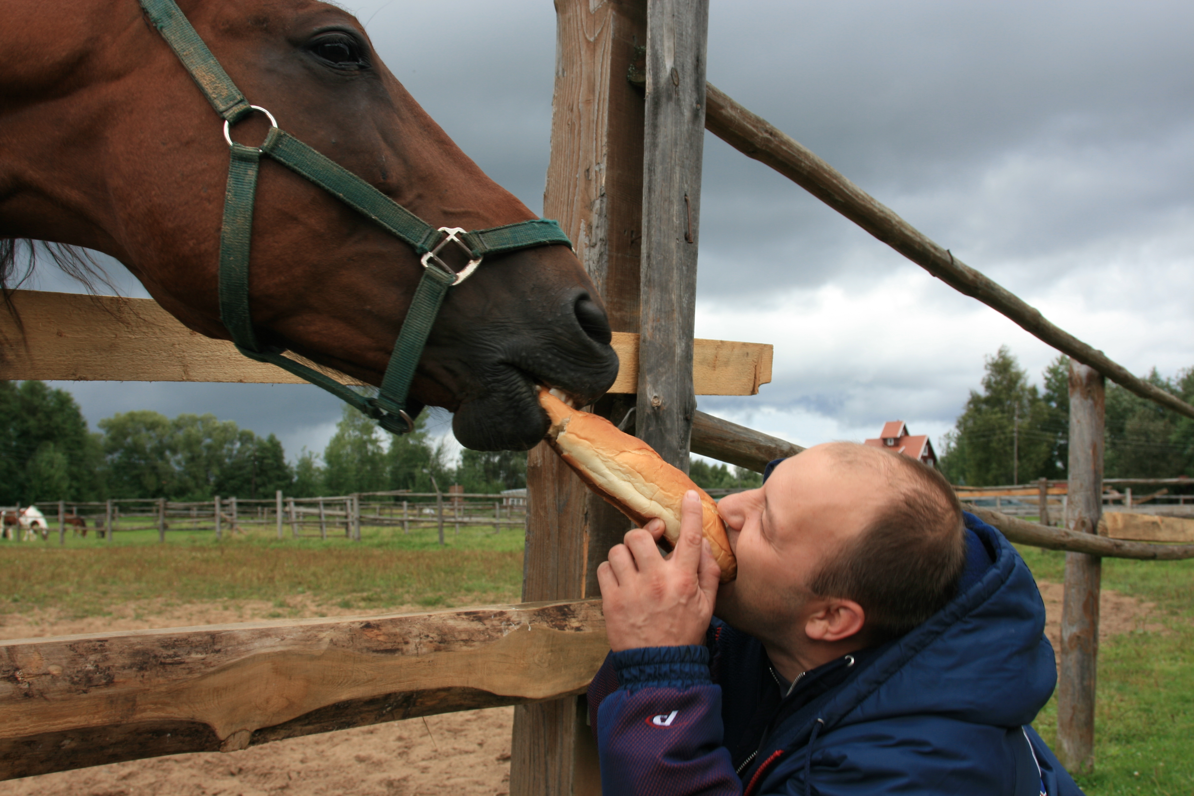 Фото Колкуново