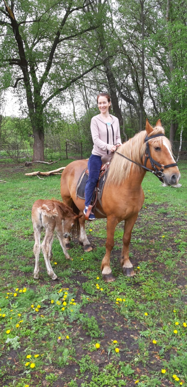 Фото Казанский луг