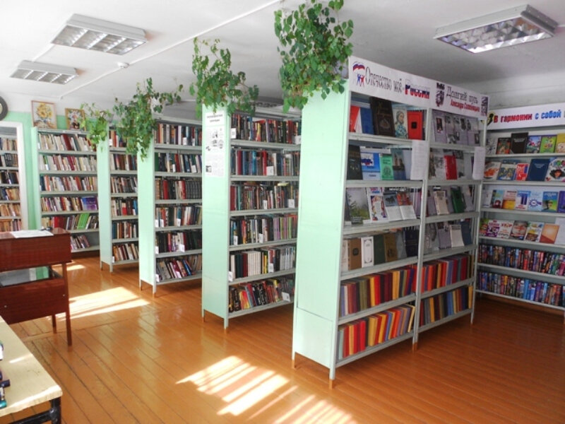 Library Новомосковская библиотечная система, городская библиотека № 1, Novomoskovsk, photo