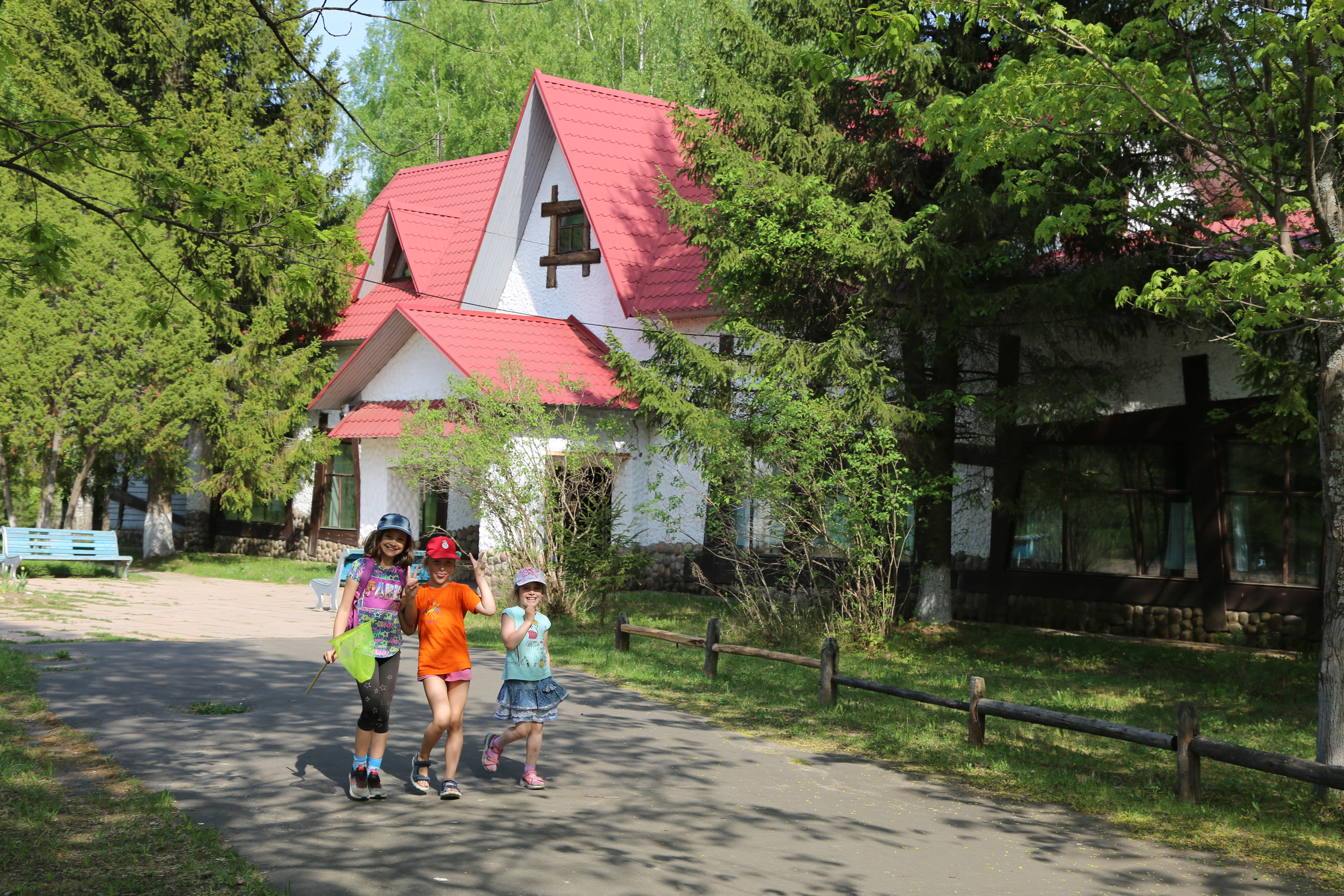 Фото Подсолнухи