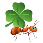 7ants.ru (4th Vyatsky Lane, 18к4), punto de entrega