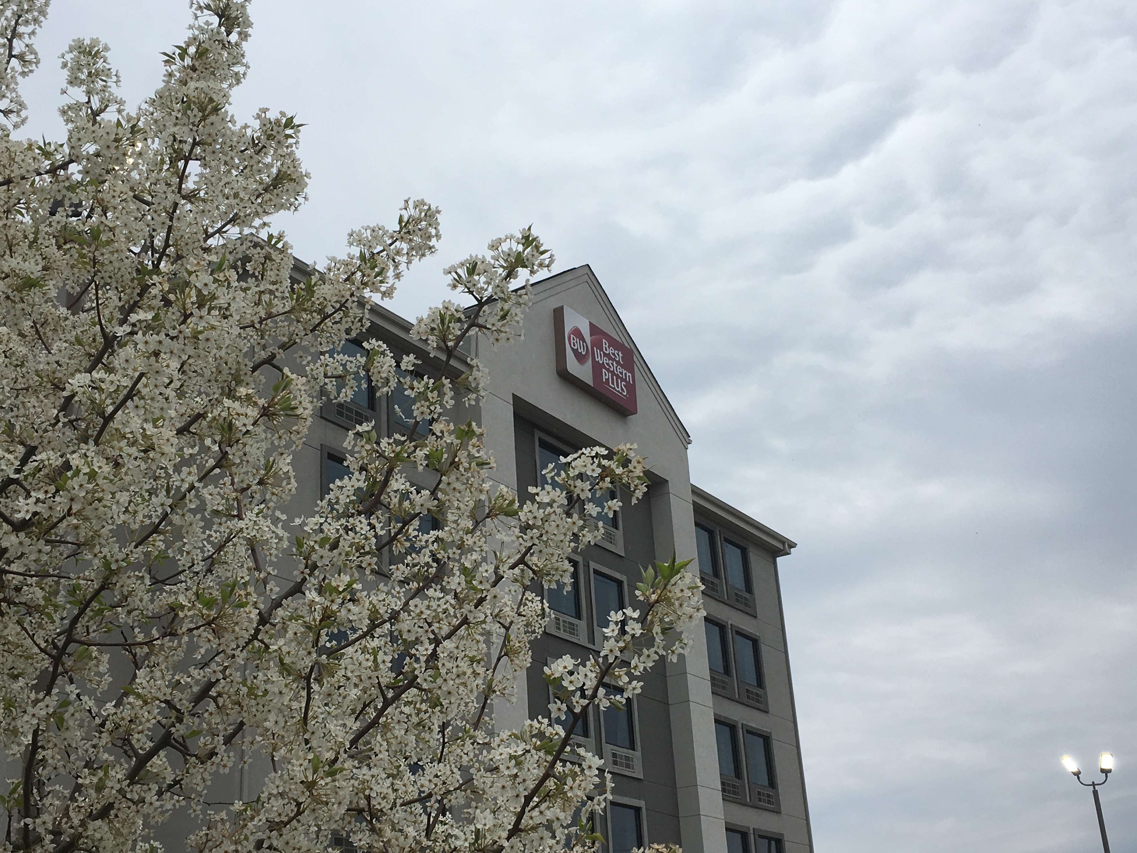 Фото Best Western Plus Spartanburg