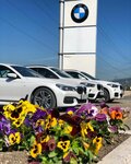 Фото 10 BMW Модус Новороссийск