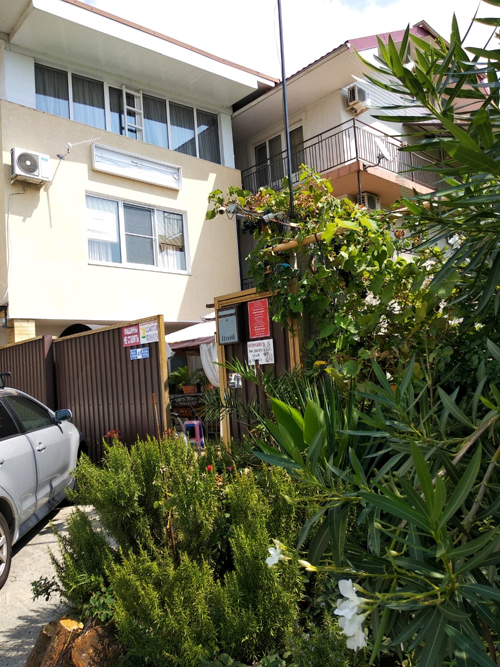 Фото Антонина