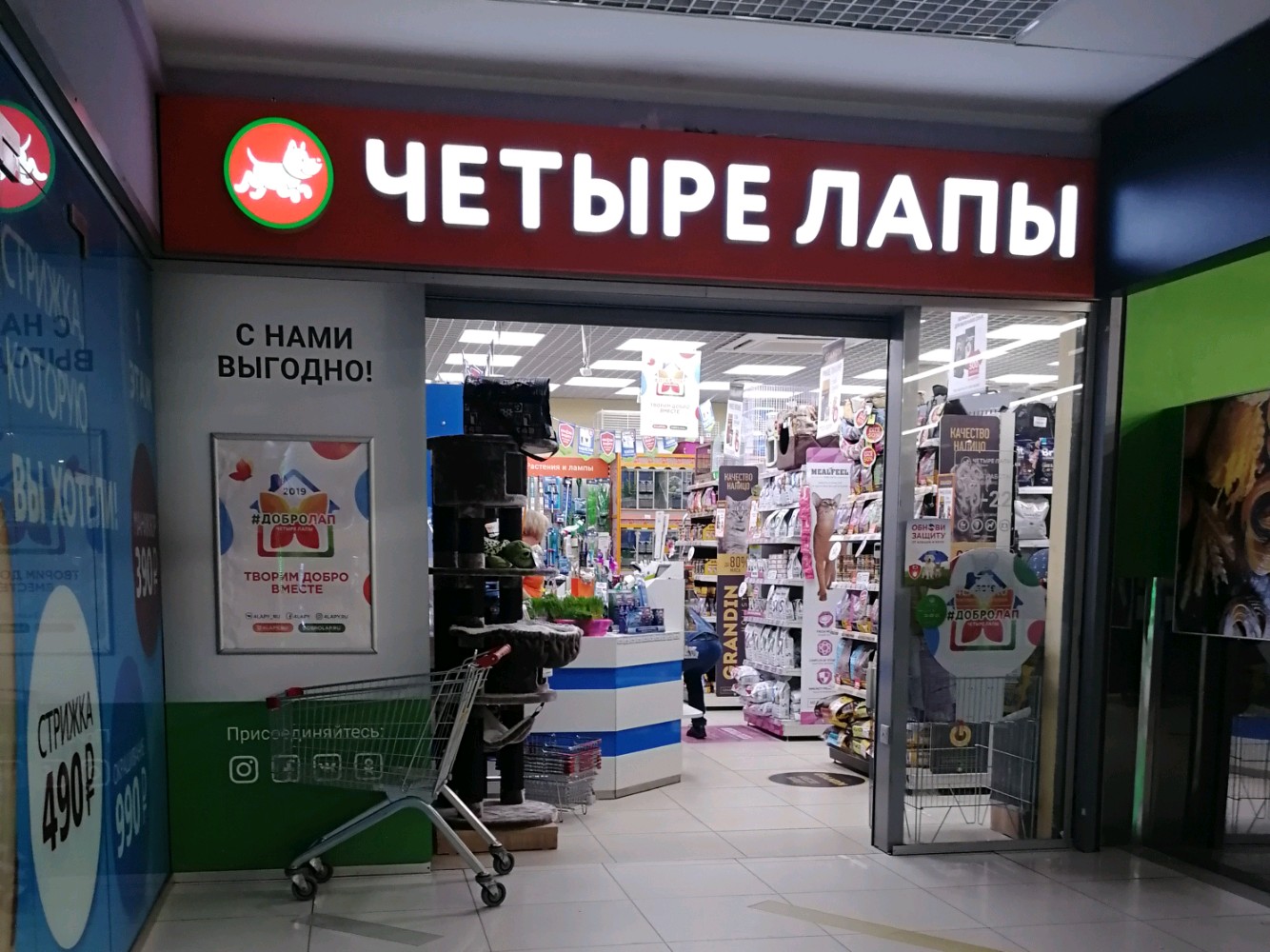 Четыре Лапы - фото 8