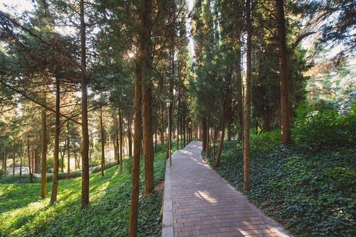 Гостиница More SPA & Resort в Алуште
