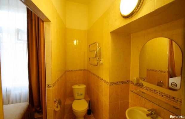 Фото Брусника