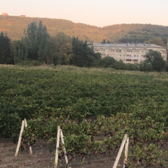 Фото Нептун у реки