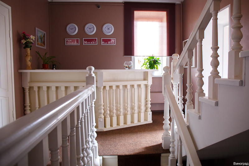 Фото Виноград