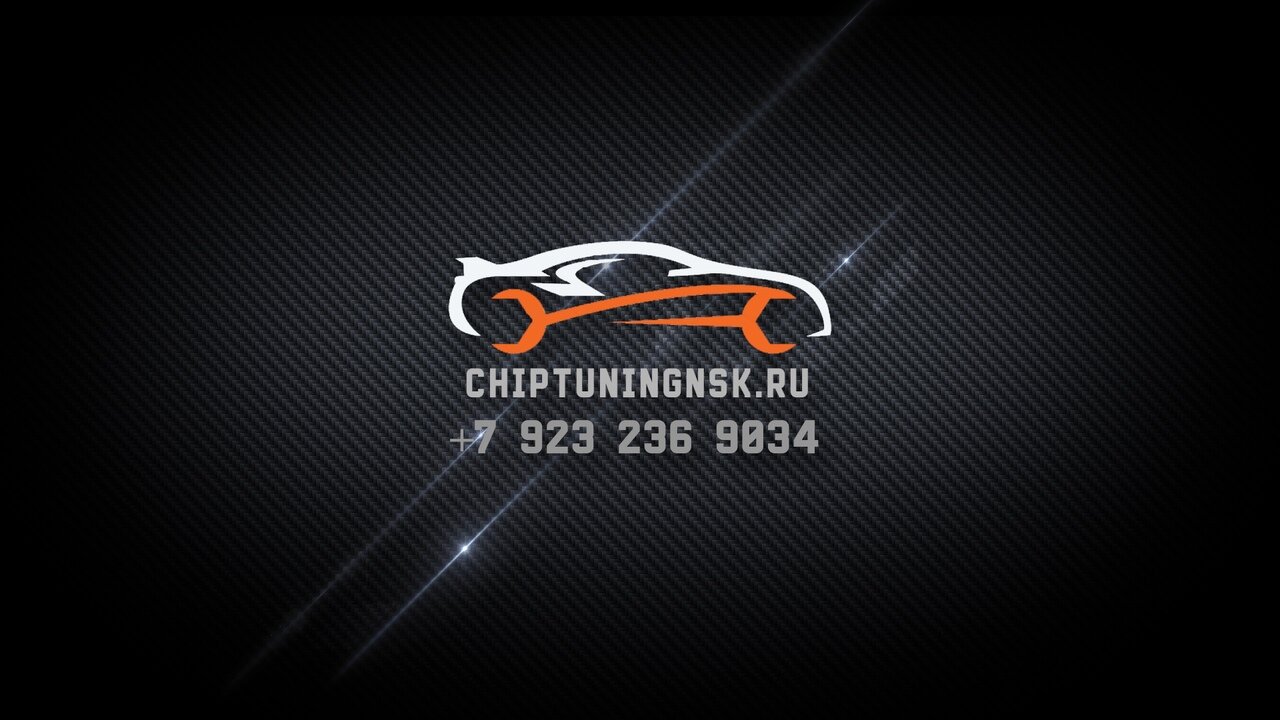 Чип-тюнинг в Новосибирске Paulus Chip