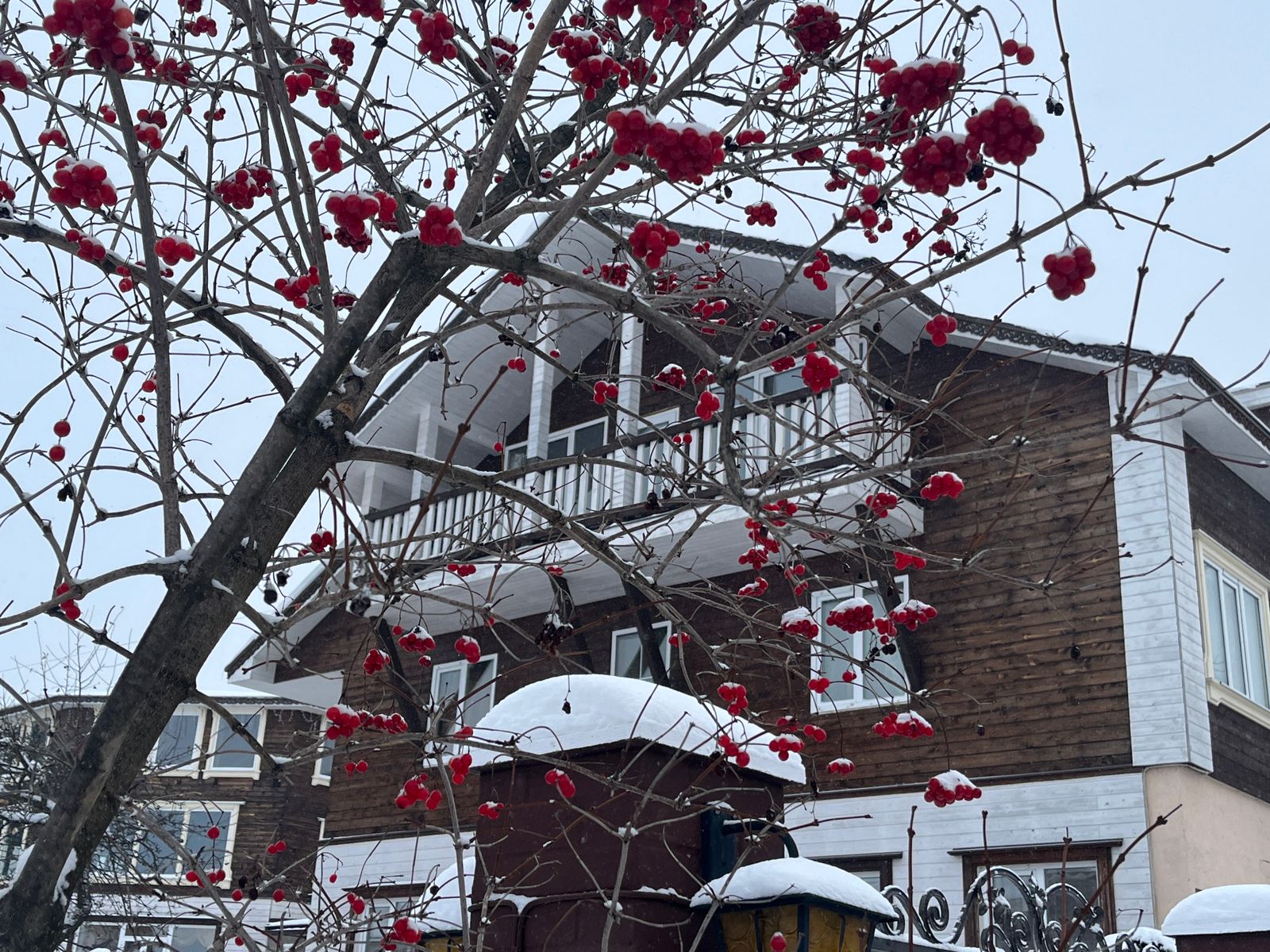 Фото Георгиевский