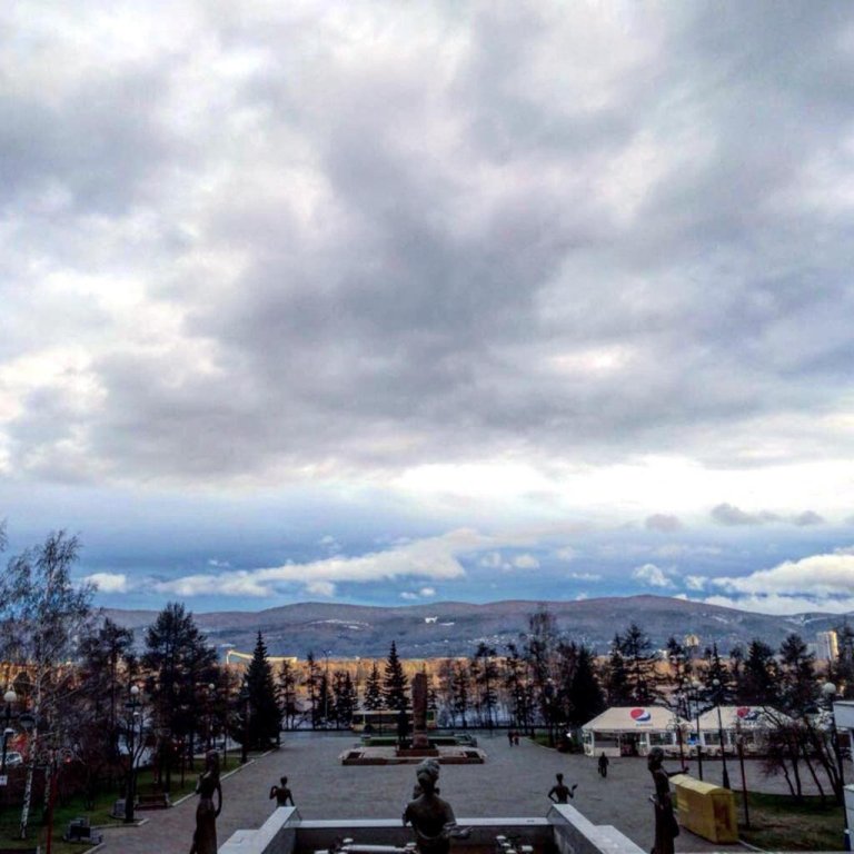 Фото Метелица