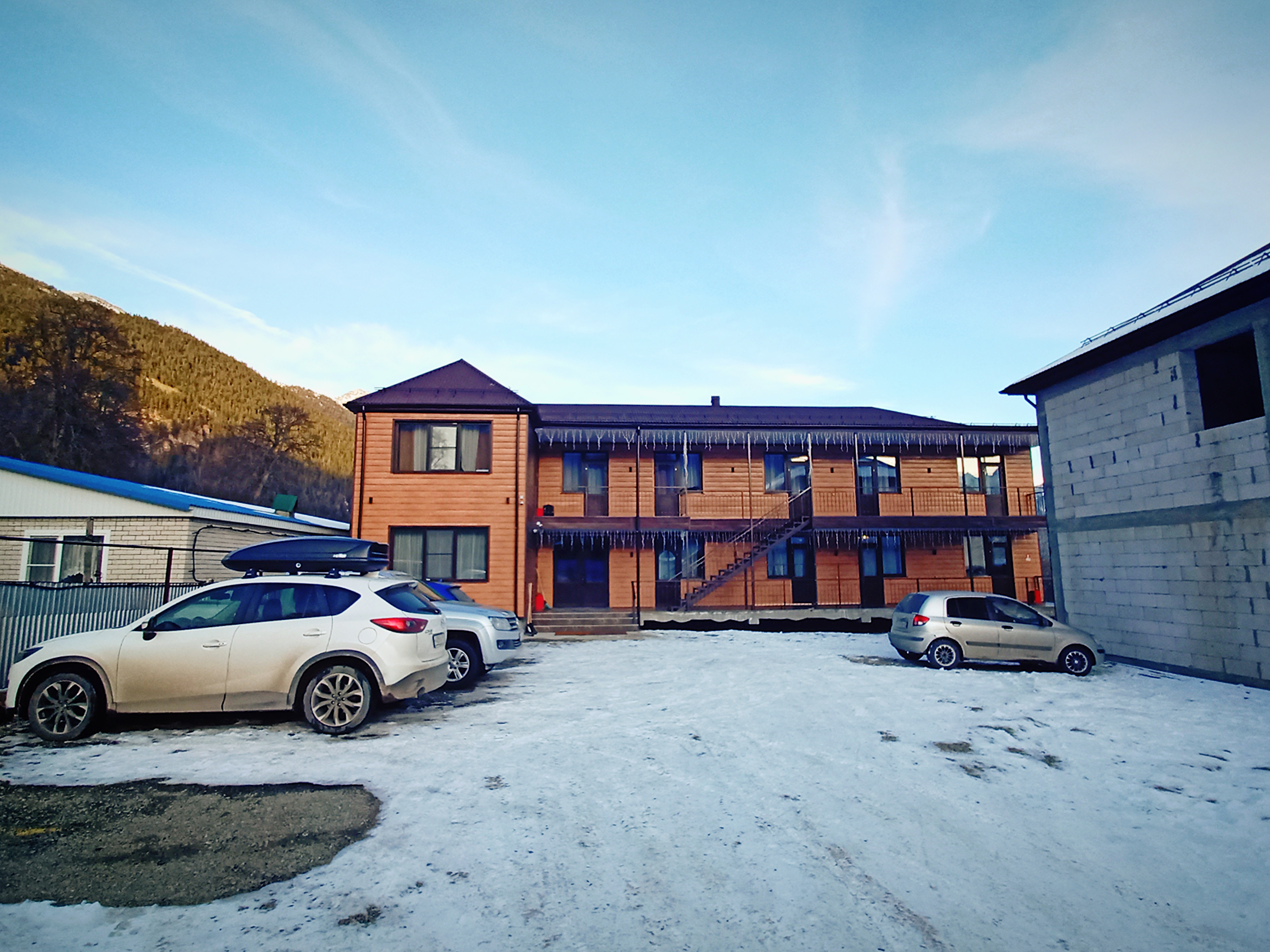 Фото Пихты Snow Point