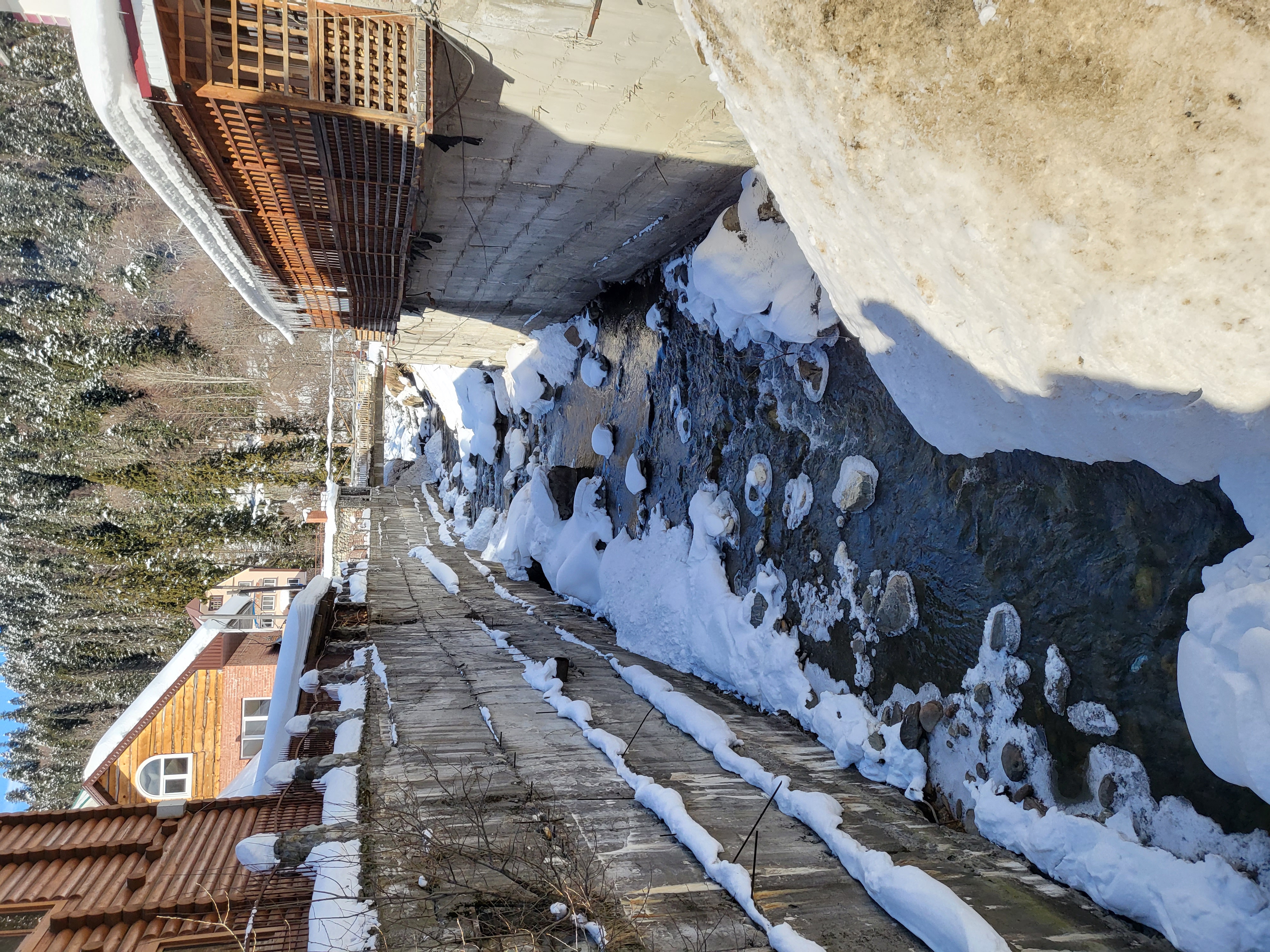 Фото Снежный Барс