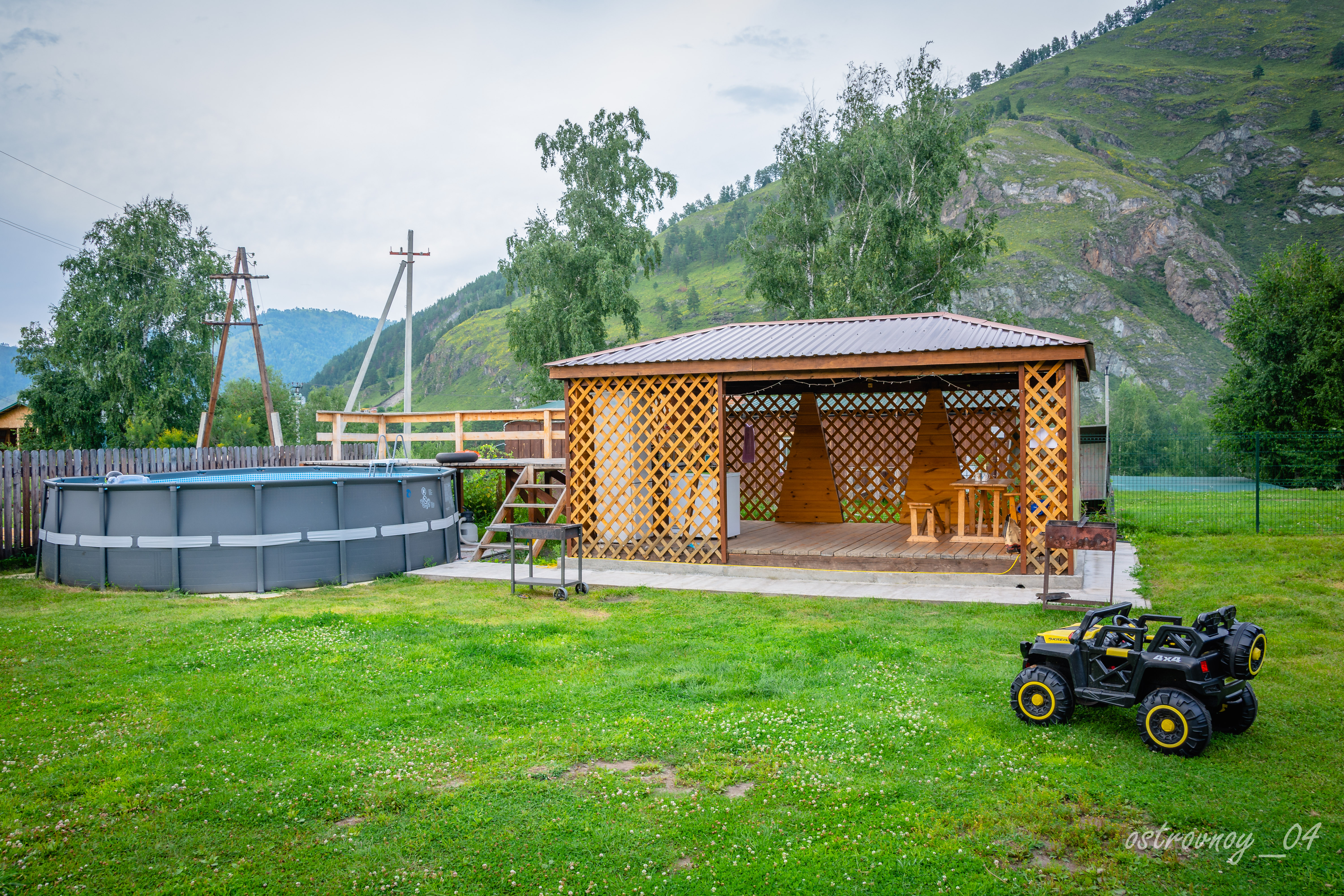 Фото Золотой медведь