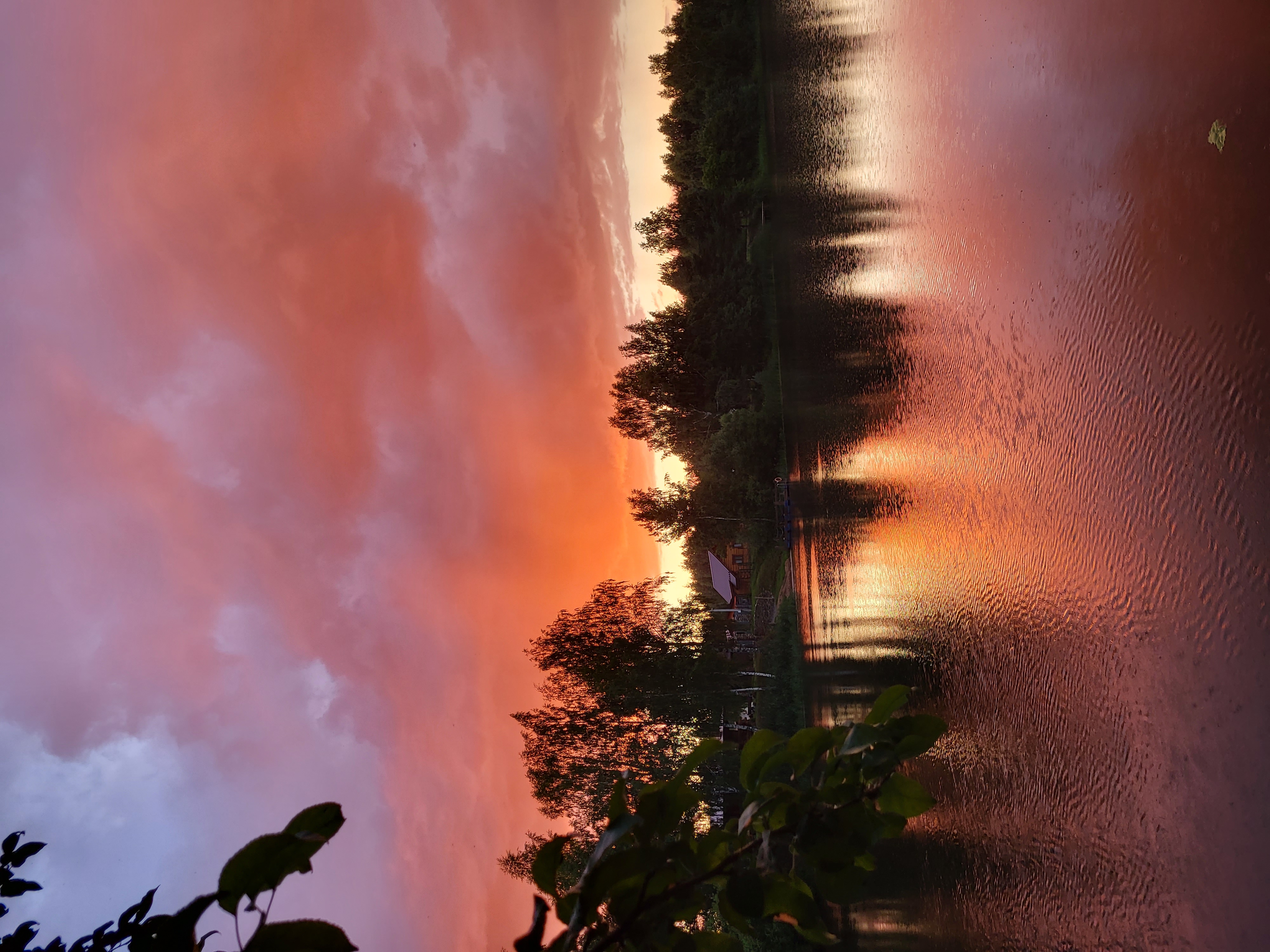 Фото Земляничная поляна