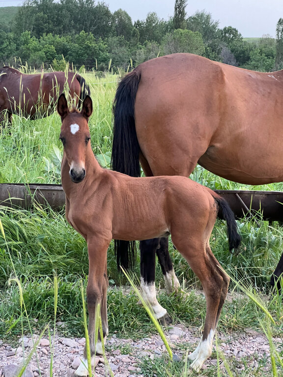 Фото Rano Eco Village