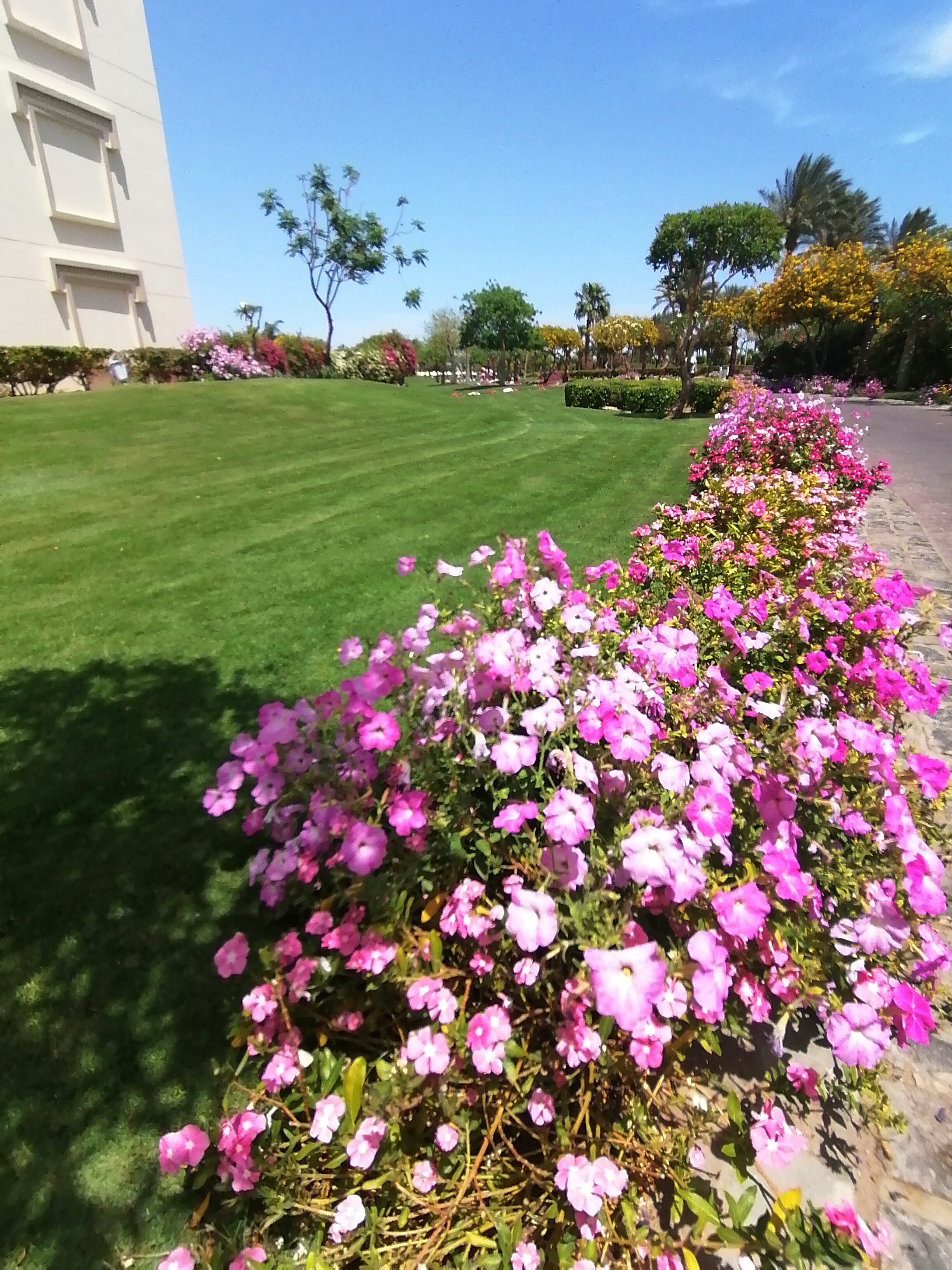 Фото Steigenberger Aqua Magic