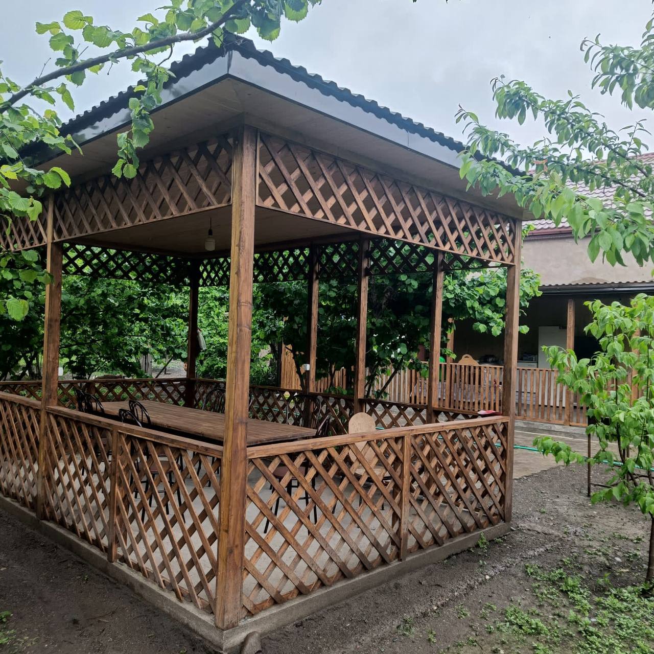 Фото Самурская Жемчужина