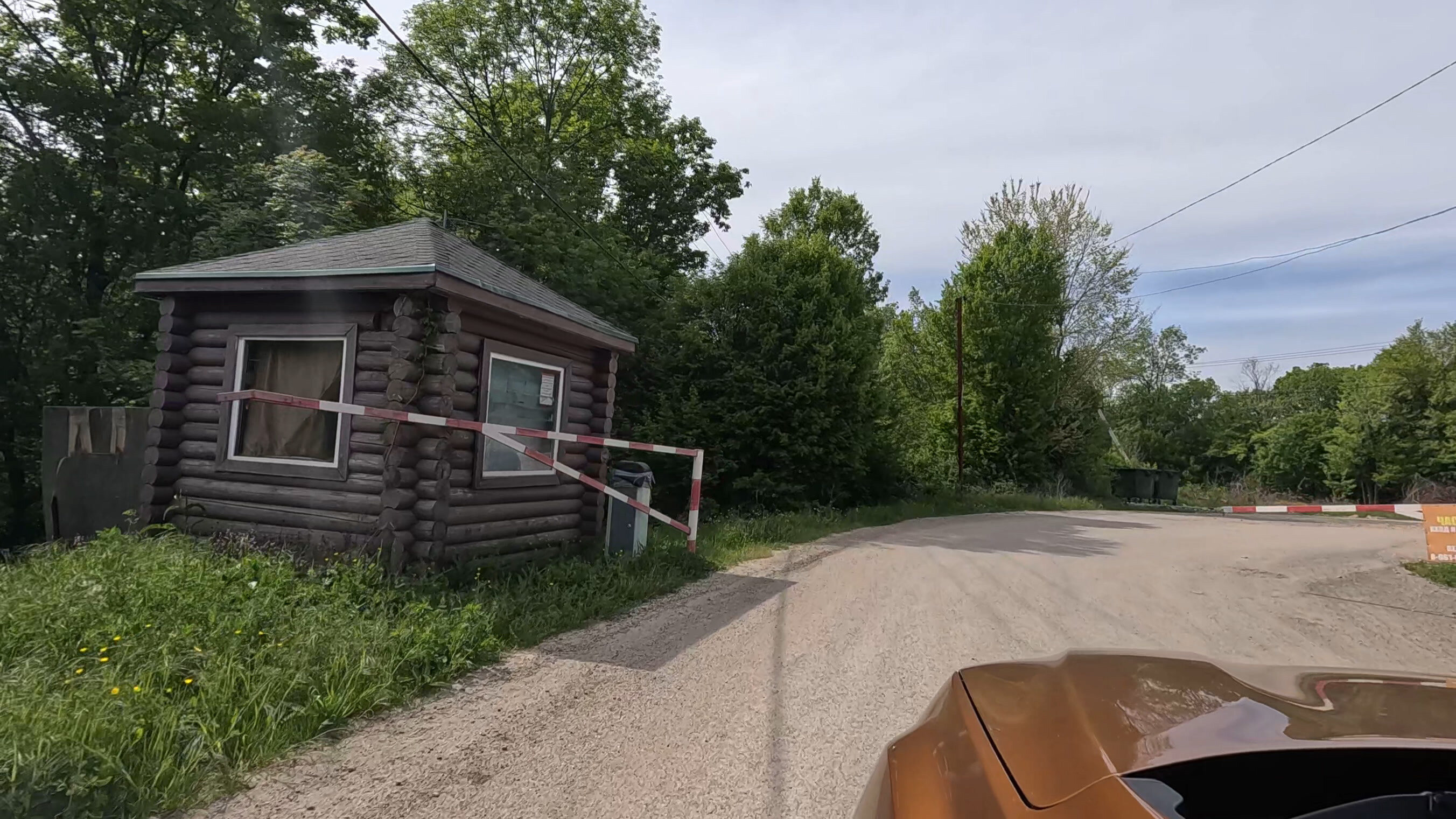 Фото Forest Dreams