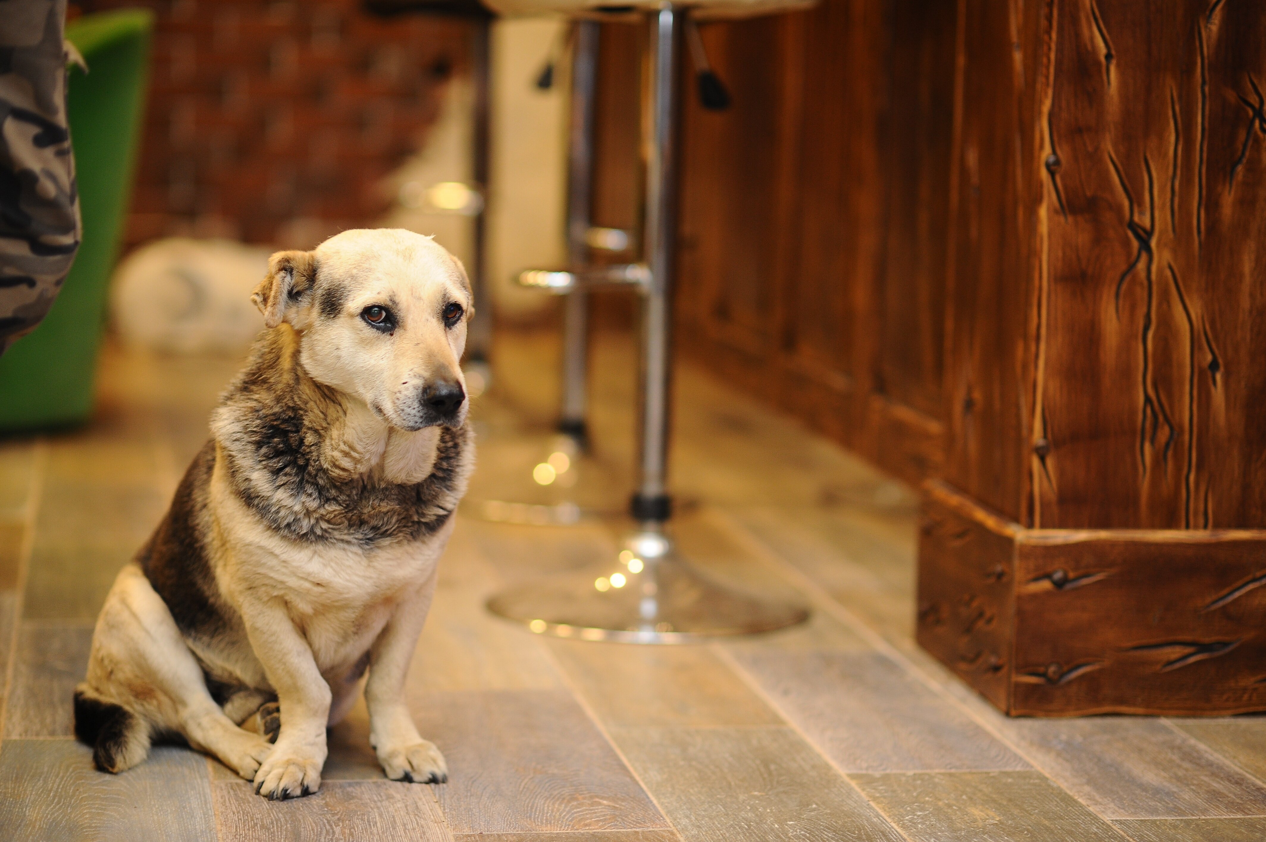 Фото Пуэбло Мохито